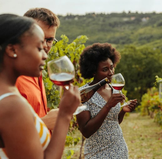 Group of people enjoying wine outdoors with scenic vineyard landscape